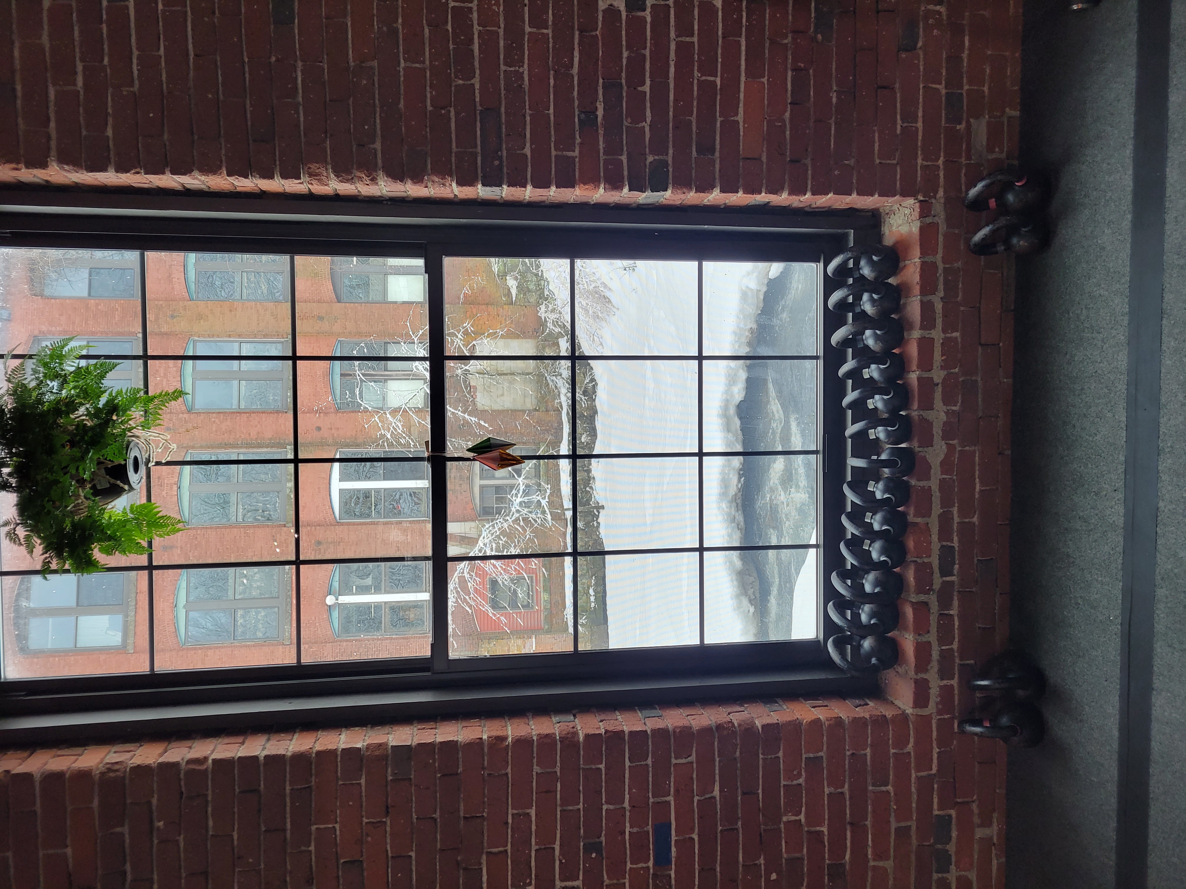 View From Our Cardio Section